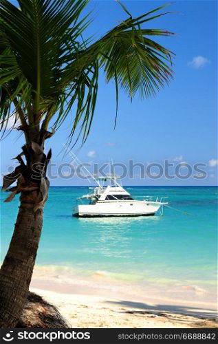 Palm tree and fishing boat at tropical beach
