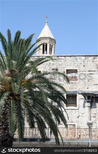 Palm tree and ruins of Diocletian palace in Split, Croatia