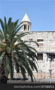 Palm tree and ruins of Diocletian palace in Split, Croatia