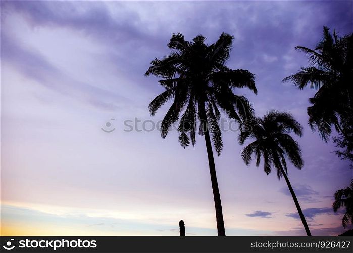 Palm tree at sea with the purple color of sky.