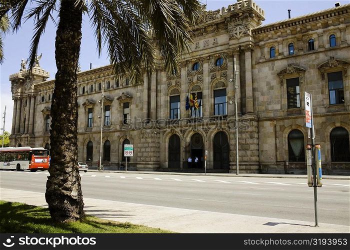 Palm tree in front of a building, Barcelona, Spain