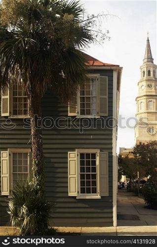 Palm tree in front of a building with a church in the background, St. Philip&acute;s Church, Charleston, South Carolina, USA