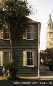 Palm tree in front of a building with a church in the background, St. Philip&acute;s Church, Charleston, South Carolina, USA