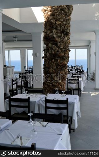 Palm tree in the dining room in Crete.