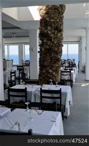Palm tree in the dining room in Crete.