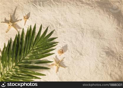 palm tree leaf sand . Resolution and high quality beautiful photo. palm tree leaf sand . High quality and resolution beautiful photo concept