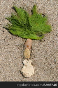 Palm tree made from stone and seaweed on the sand beach&#xA;&#xA;&#xA;