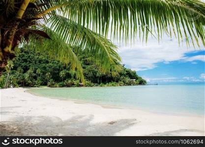 Palm tree on beach at sea with the blue sky background.