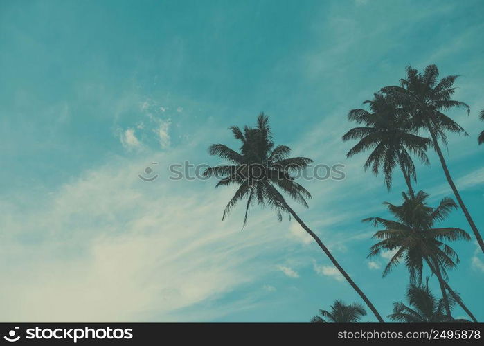 Palm tree on tropical beach, vintage toned