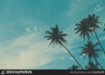 Palm tree on tropical beach, vintage toned