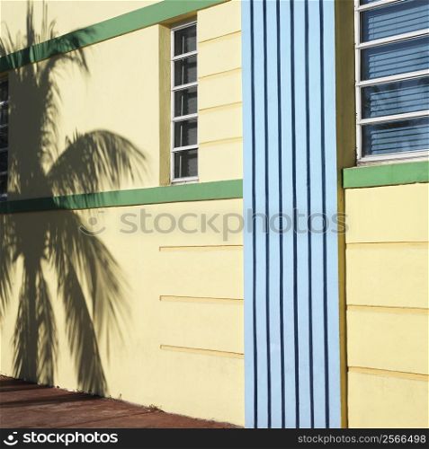 Palm tree shadow and detail of building in art deco district of Miami, Florida, USA.