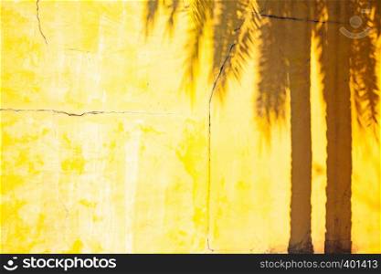 palm tree shadow on a yellow wall