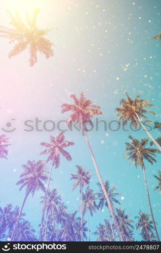 Palm tree summer beach sunny day. Coconut palm trees vintage toned with gold glitter bokeh.