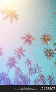 Palm tree summer beach sunny day. Coconut palm trees vintage toned with gold glitter bokeh.