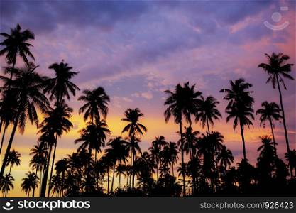 Palm tree with silhouette at the beautiful of sky.