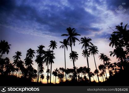 Palm tree with the silhouette at blue sky.