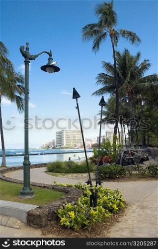 Palm trees along a path, Waikiki Beach, Honolulu, Oahu, Hawaii Islands, USA
