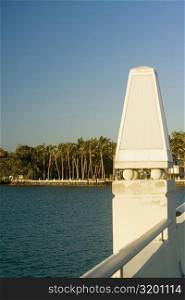 Palm trees along the sea, Miami, Florida, USA