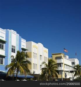 Palm trees and buildings in art deco district of Miami, Florida, USA.