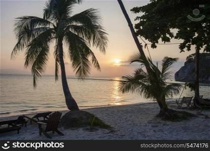 Palm trees and deck chairs on beach at sunset; Koh Pha Ngan; Thailand