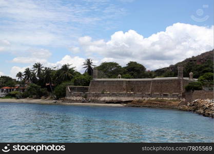 Palm trees and fortress on the coast in Pampatar, Venezuela