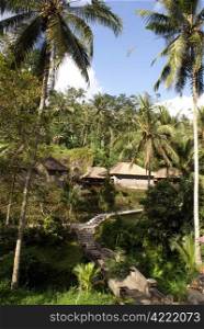 Palm trees and houses in Gunung Kawi, Ubud, bali
