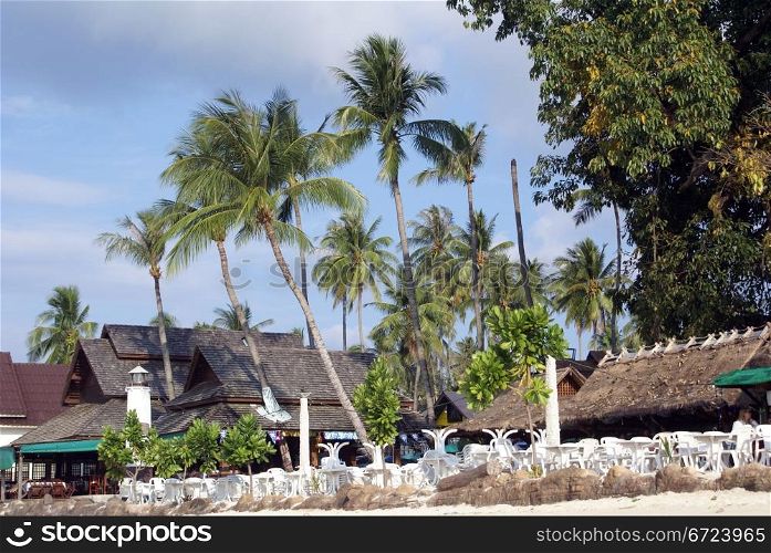 Palm trees and houses in the village, Ko Phi Phi island