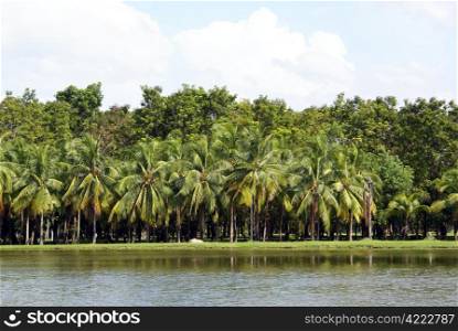 Palm trees and lake in old Sukhotai, Thailand