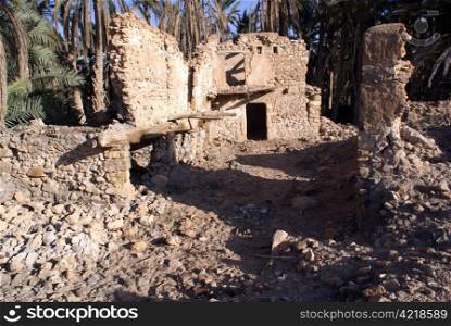 Palm trees and ruins in old medina Kebili, Tunisia