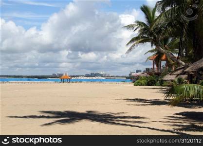 Palm trees and sand beach on the Hainan island, China