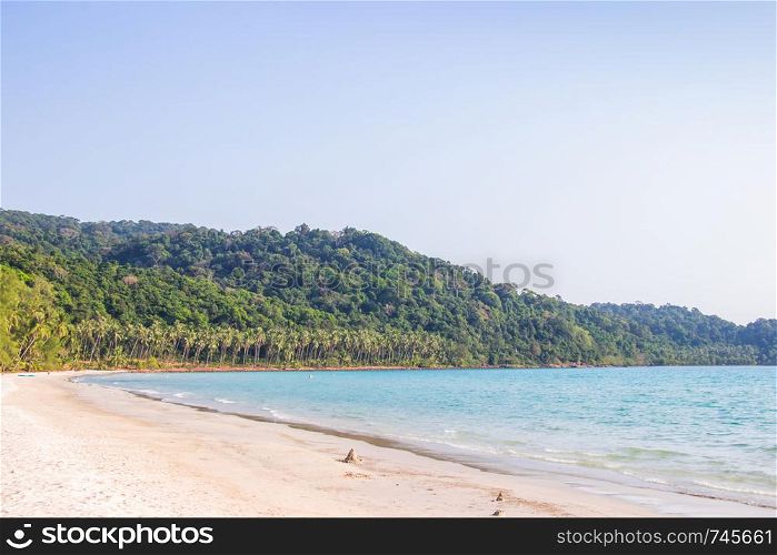 Palm trees and the sky bright on white sand beach at ao phrao area koh kood island Trat province Thailand.