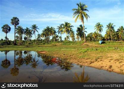 Palm trees and water in Nilaweli beach, Sri Lanka