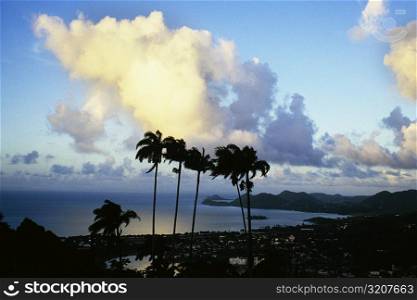 Palm trees are seen against tropical cloud formation on the island of St. Lucia
