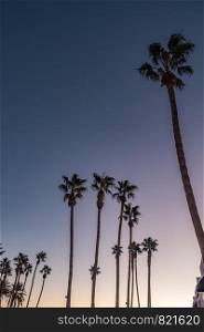 palm trees at sunset on boulevard in los angeles
