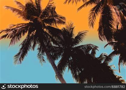 Palm trees at tropical coast, vintage toned and film stylized