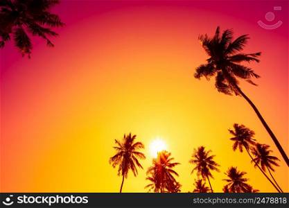 Palm trees at tropical sunset with copy space