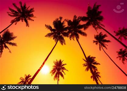Palm trees at vivid tropical sunset