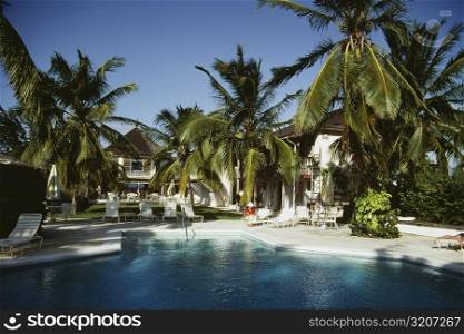 Palm trees beside a clear swimming pool on a sunny day, Eleuthera, Bahamas