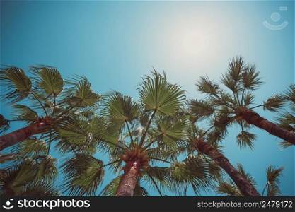 Palm trees clear summer sky with shiny sun retro color stylized