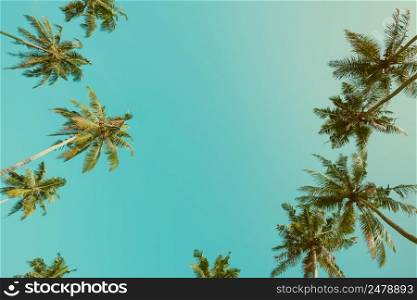 Palm trees crowns over sky background vintage color filtered with copy space