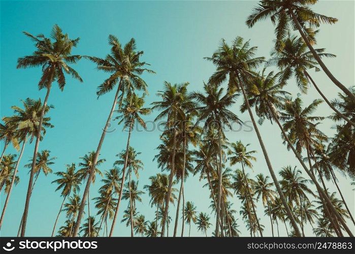 Palm trees forest on tropical beach retro color toned