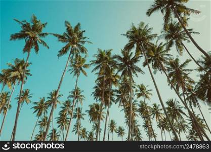 Palm trees forest on tropical beach retro color toned