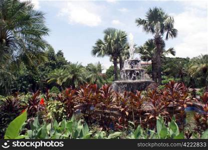Palm trees, garden and fountain in Manila