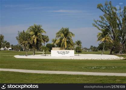 Palm trees in a park, Lake Worth, Palm Beach County, Florida, USA