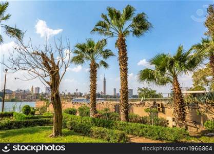 Palm trees in Cairo and view on Nile and TV tower. Palms in Cairo