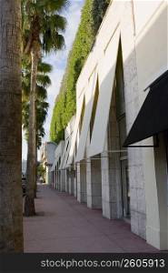 Palm trees in front of a building, Collins Avenue, South Beach, Miami Beach, Florida, USA