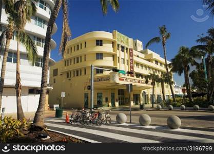 Palm trees in front of a building, Miami, Florida, USA