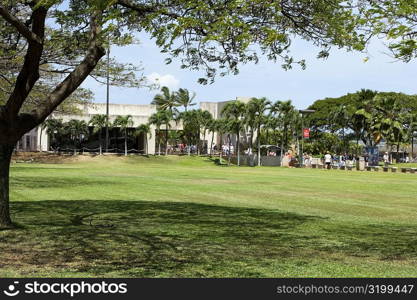 Palm trees in front of a building, Pearl Harbor, Honolulu, Oahu, Hawaii Islands, USA