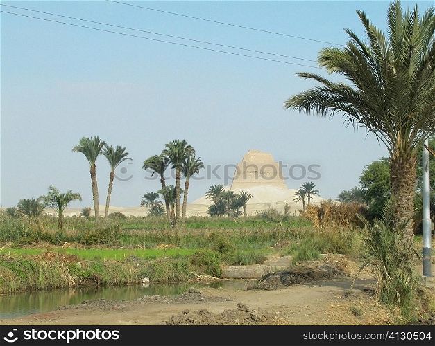 Palm trees in front of a pyramid