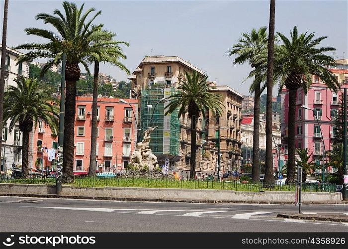 Palm trees in front of buildings, Fontana della Sirena, Piazza Sannazzaro, Naples, Naples Province, Campania, Italy
